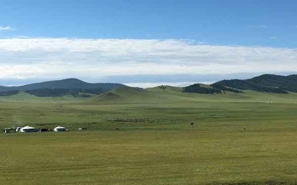 草原と森林の境目が気温や降水量など気候の影響で発生しているモンゴルの大地=森林総研・平田主任研究員提供