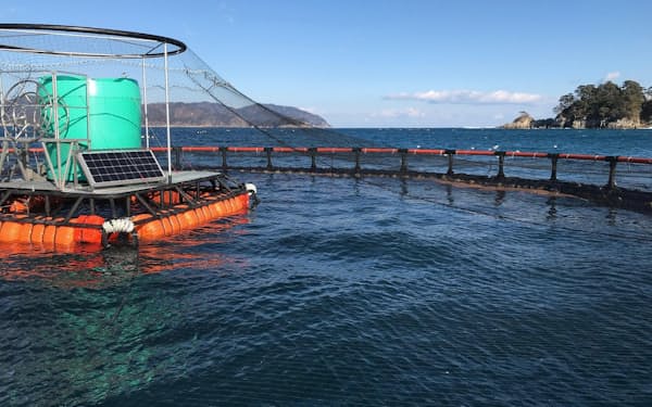 日本水産は国内の養殖事業の利益率を改善する（岩手県大槌町の養殖場）