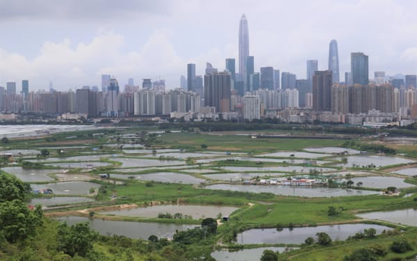 高層ビルが立ち並ぶ深圳に近い湿地帯付近で開発計画が進む（手前が香港側）