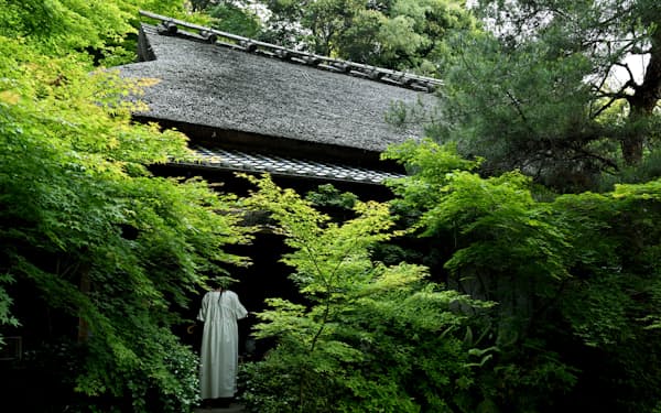  横笛が時頼を探し訪ねた往生院跡の滝口寺。小倉山から延びる木々に本堂は包まれている