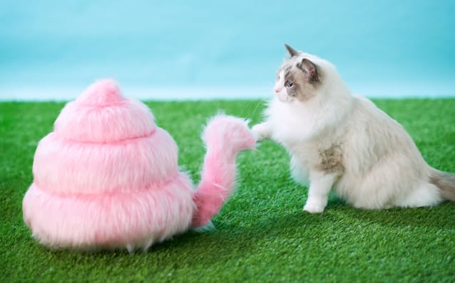 うんこ動物 ふれあって カヤックなどが開発 日本経済新聞 うんこ動物 ふれあって カヤックなどが開発 日本経済新聞