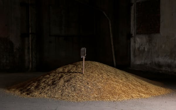 小麦はロシアのウクライナ侵攻で需給が逼迫している=ロイター