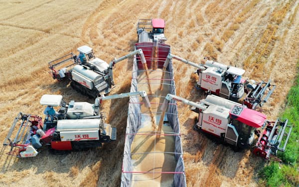 消費者物価指数のうち穀物価格は7年半ぶりの伸びとなった（5月、安徽省合肥市の小麦収穫現場）＝新華社・AP