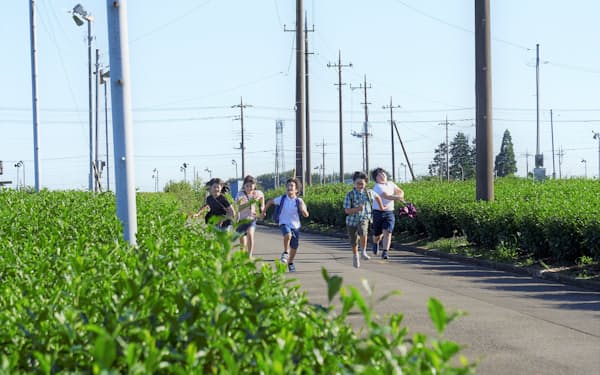 映画「ラストサマーウォーズ」は、埼玉県入間市の茶畑や小学校などで撮影された
