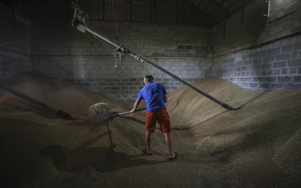 　ウクライナ南部オデッサで、小麦の貯蔵庫で作業する男性＝17日（ゲッティ＝共同）
