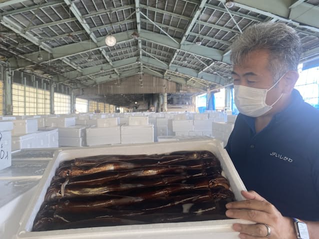 石川沖でイカ大漁 1カ月遅れで旬到来 卸値2割安く 日本経済新聞 石川沖でイカ大漁 1カ月遅れで旬到来 卸値2割安く 日本経済新聞