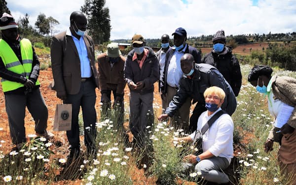 りんねしゃの飯尾裕光専務はケニアで除虫菊農家を視察した