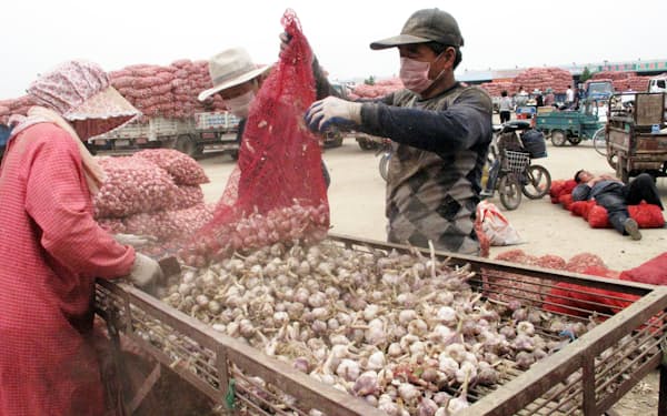 中国でニンニクは食品や医薬品の原材料に使われるが、他の農作物とともに住宅の頭金として受け入れる不動産開発業者が出てきた＝ロイター