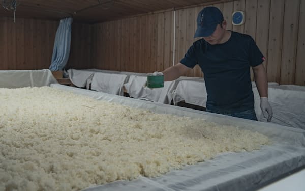 蒸した米を床に広げて麹を散布する