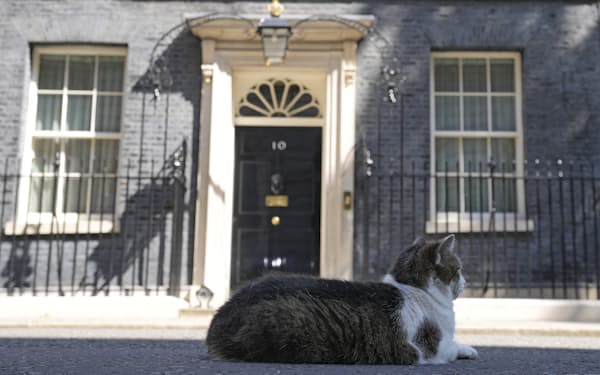 英首相官邸の扉の前に座る同官邸のネコ「ラリー」（8日）=AP
