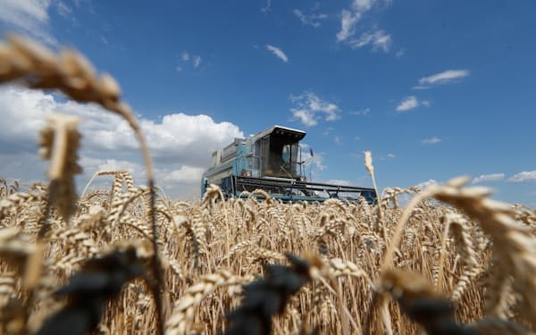 ウクライナの小麦生産は前年度から４割減った＝ロイター