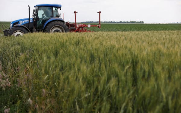 金利の上昇を受け、小麦など多くの商品の価格が下落している＝ロイター