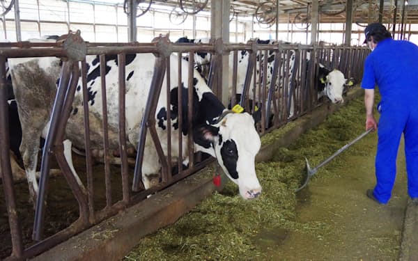 生乳の生産コストの4～5割は餌代が占め、飼料高は経営に直結する