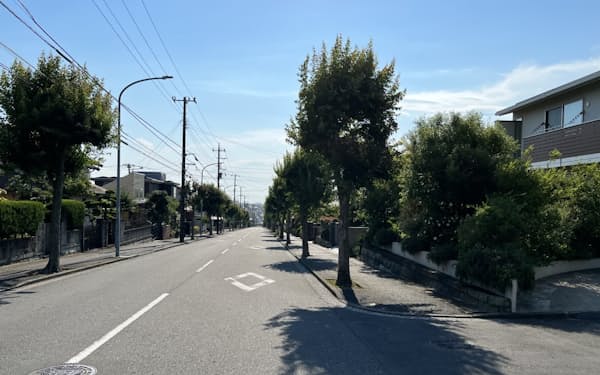 街路樹など緑豊かな街並みが続く庄戸地区（横浜市栄区）