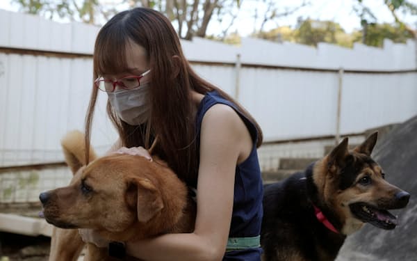 香港を離れる人たちはペットをそのまま残していくことが多いため、動物保護施設はどこもいっぱいだ＝ロイター