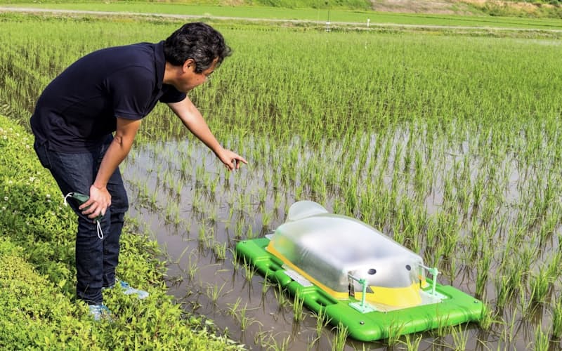 アイガモロボットは除草の手間を大幅に軽減できる(新潟県長岡市の生産農場グリーンで)