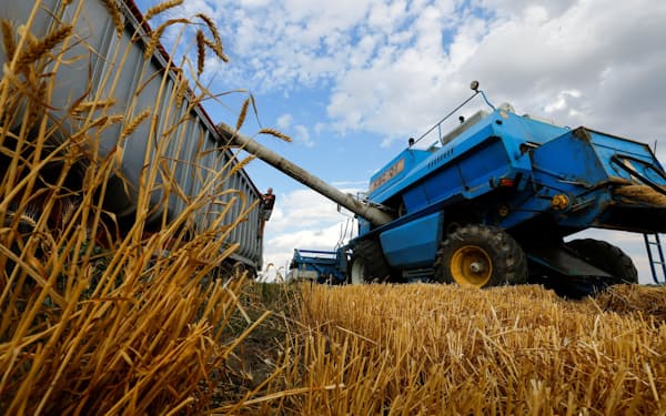 ウクライナの穀物輸出への期待が高まっている（7月26日、南部ヘルソン）＝ロイター