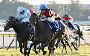 第50回エリザベス女王杯を制したレガレイラ㊨と2着のパラディレーヌ(16日、京都競馬場)=共同