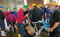 鳥取港で7日行われたズワイガニの初競り(鳥取市)