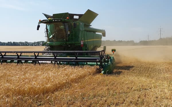 ＦＫ社では６月末に小麦の収穫が始まった（キーウ州）＝ワジム・ペトラシュク氏撮影