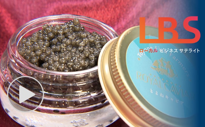 1004人の山村で税収生むキャビア 苦節10年実る 愛知 日本経済新聞 1004人の山村で税収生むキャビア 苦節10年実る 愛知 日本経済新聞