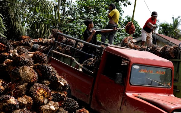 インドネシアの経済はパーム油の輸出などに支えられ堅調さを維持する（4月、リアウ州）＝ロイター