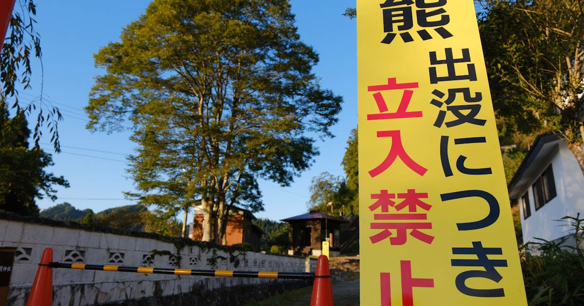 Site image of the bookmark