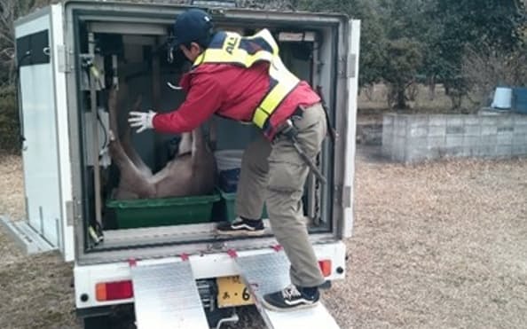 捕獲した獲物を保冷車に運び入れるALSOK福岡の社員