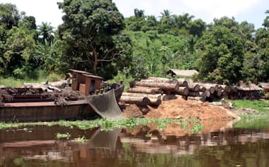 コンゴ熱帯雨林の伐採が降雨量の減少をもたらし、世界のカカオ豆の4分の3を生産する地域を脅かす=ロイター