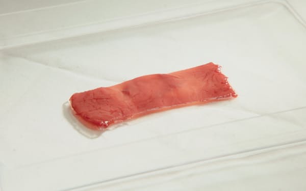 日清食品ホールディングスと東京大学が開発した食べられる培養肉