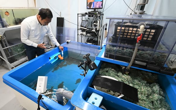 市街地のビルの一室でも海水魚を養殖できる新システム（6月中旬、東京都大田区のウィズアクア）