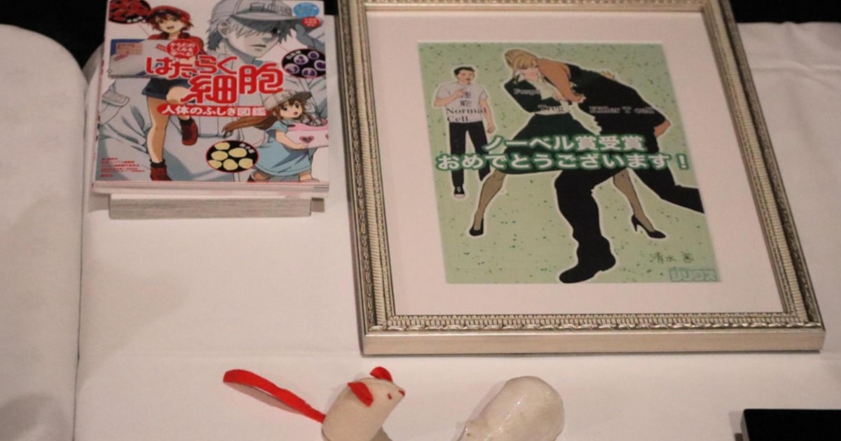 坂口志文氏は漫画「はたらく細胞」、北川進氏はMOF 寄贈の記念品をノーベル博物館が公開 - 日本経済新聞