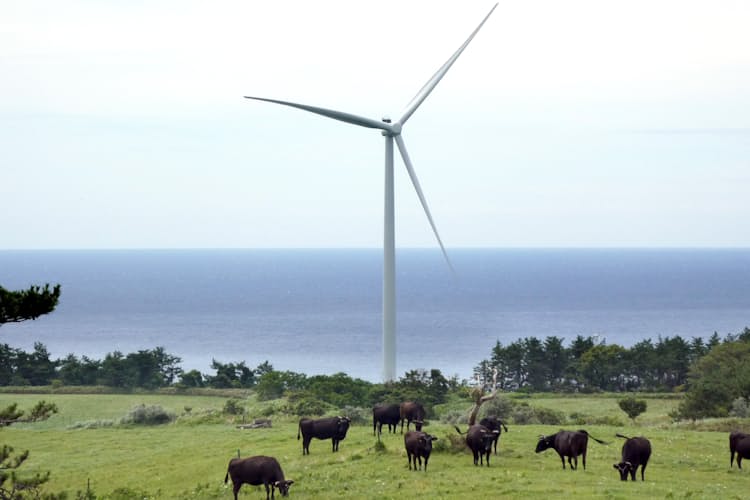 北海道最南端の町 風車と牛 で再生 東急不と連携 Nikkeiリスキリング 北海道最南端の町 風車と牛 で再生 東急不と連携 Nikkeiリスキリング
