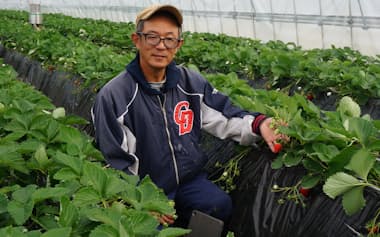 つづく農園の都竹大輔さんは「中小農家が使えるスマート農業」にこだわる(11月、常陸大宮市)