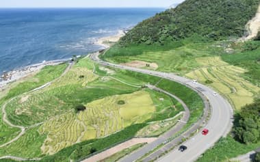 国道249号沿いにある「白米千枚田」(9月、石川県輪島市。ドローンから)=共同