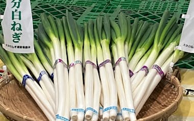 大分県ではネギ生産が拡大し産出額が100億円を突破した