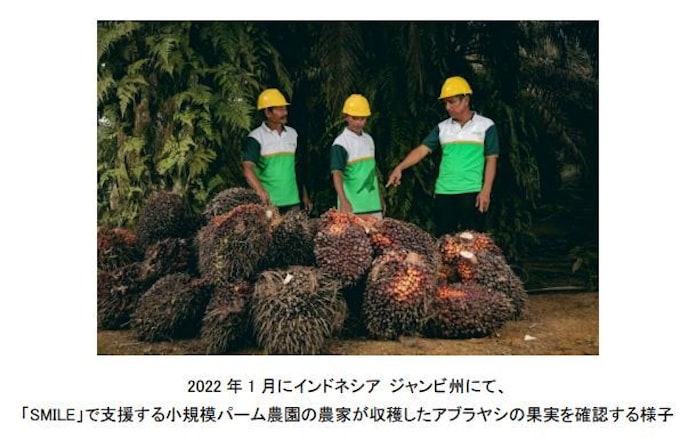 花王 インドネシアの小規模パーム農園を対象にグリーバンスメカニズムの運用を開始 日本経済新聞 花王 インドネシアの小規模パーム農園を対象にグリーバンスメカニズムの運用を開始 日本経済新聞