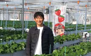 徳島県や東みよし町などと「にし阿波いちごタウンプロジェクト」を進める関さん(9日) 徳島県や東みよし町などと「にし阿波いちごタウンプロジェクト」を進める関さん(9日)