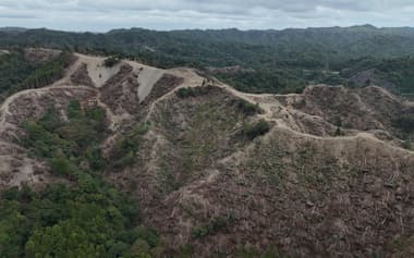 千葉県鴨川市のメガソーラー開発現場(10月)=鴨川の山と川と海を守る会提供