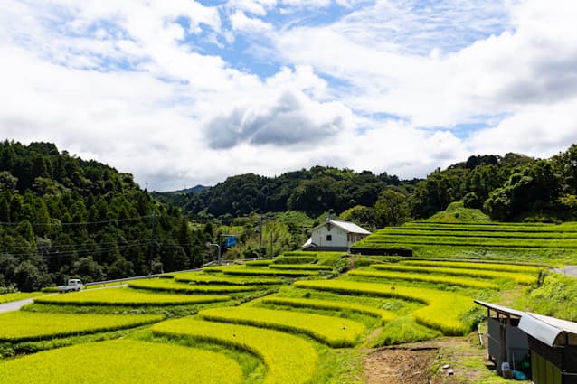 大阪 千早赤阪はなぜ 村 近隣に要件下回る町も 日本経済新聞 大阪 千早赤阪はなぜ 村 近隣に要件下回る町も 日本経済新聞