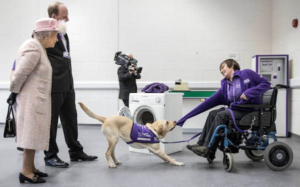 身体障害者の介助犬を訓練する慈善団体を訪れるエリザベス女王（2017年、英ミッドハースト）＝ロイター