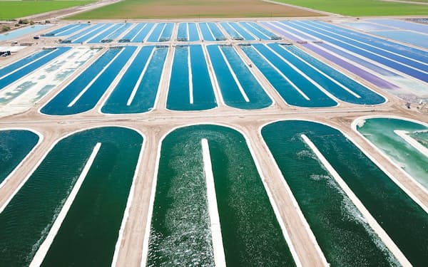 米アースライズ社の屋外藻類培養工場では、年間550トンの乾燥スピルリナを生産している