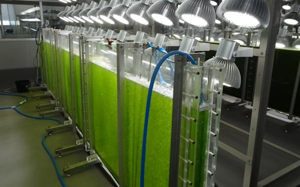 隣接する石炭火力発電所から出るCO2を原料に藻類を育てる（広島県大崎上島町）