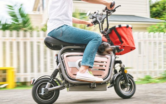 グッドシェイプはペットと乗れる電動バイクを発売した