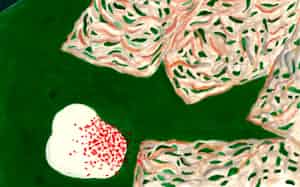 村田善子 画 村田善子 画