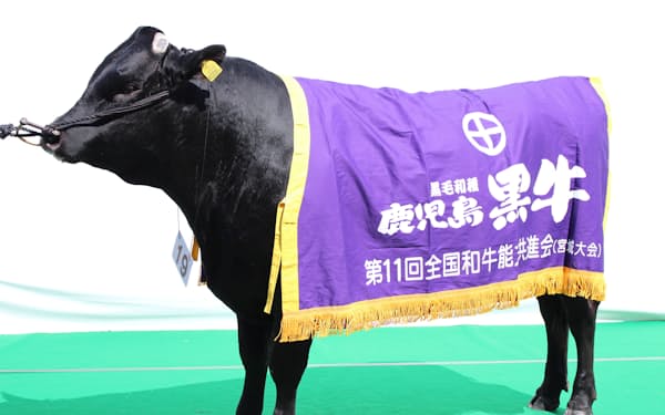 前回の共進会で優勝した鹿児島黒牛のチャンピオン牛