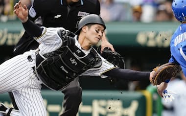 阪神・坂本は自らの野球人生を競走馬にたとえて「内側をこそっと走り、最後に追い抜く」と語る=共同