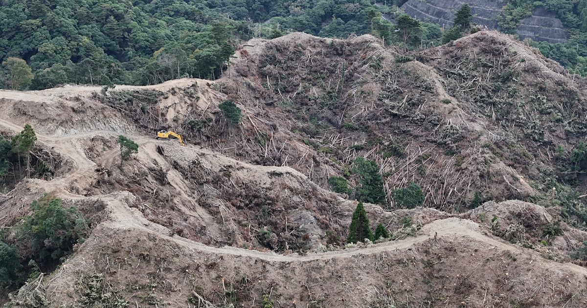 千葉・鴨川のメガソーラー計画、FIT認定失効 期限延長に不備 - 日本経済新聞