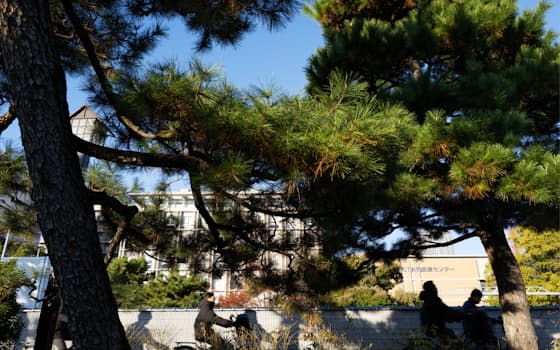 中学生の川端康成がマラソンで走ったという八丁松原。朝、自転車に乗った学生らが駆け抜けていった=三浦秀行撮影 中学生の川端康成がマラソンで走ったという八丁松原。朝、自転車に乗った学生らが駆け抜けていった=三浦秀行撮影