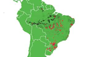 黒い点は違法伐採などでブラジル当局が差し押さえた違法農地で、このうち赤点の場所では保険各社が農業保険を提供していた=日経分析 黒い点は違法伐採などでブラジル当局が差し押さえた違法農地で、このうち赤点の場所では保険各社が農業保険を提供していた=日経分析